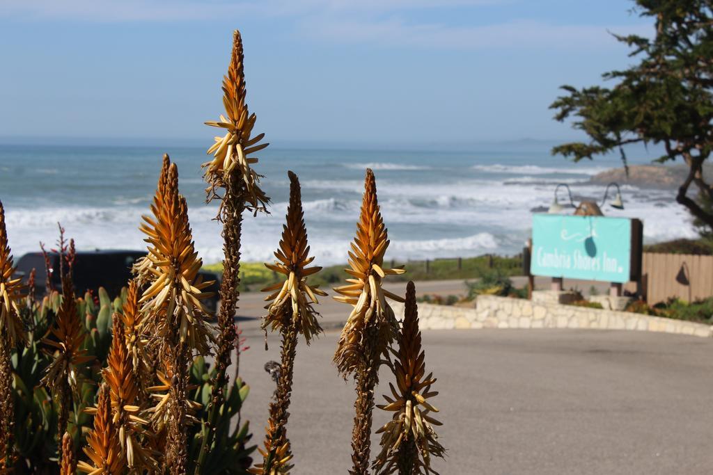Cambria Shores Inn Exterior photo