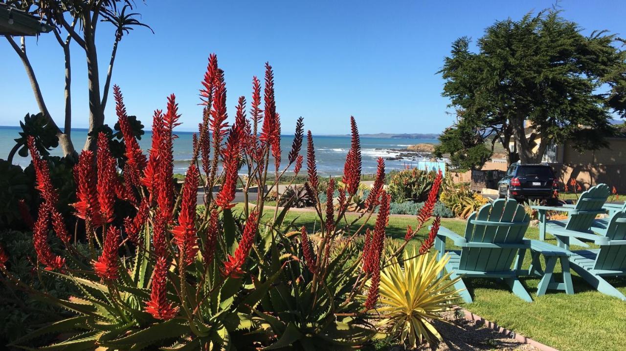 Cambria Shores Inn Exterior photo